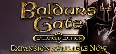 博德之门：加强版/Baldur's Gate: Enhanced Edition_官方中文绿色版|网盘下载-异次元社