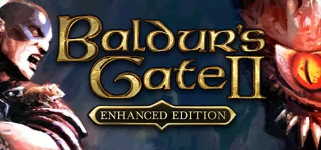 博德之门2：加强版/Baldur's Gate II: Enhanced Edition_官方中文绿色版|网盘下载-异次元社