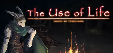命途/The Use of Life_官方中文绿色版|网盘下载-异次元社