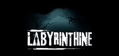 迷宫探险/Labyrinthine/支持网络联机_官方中文绿色版|网盘下载-异次元社